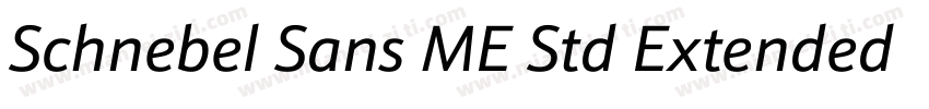 Schnebel Sans ME Std Extended Light字体转换